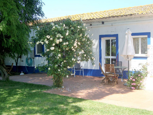 Terraço