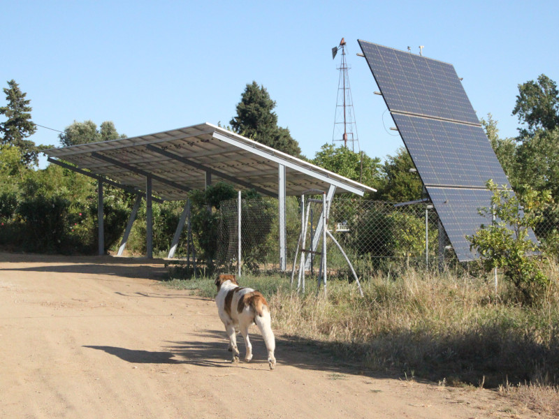 SolarPanels