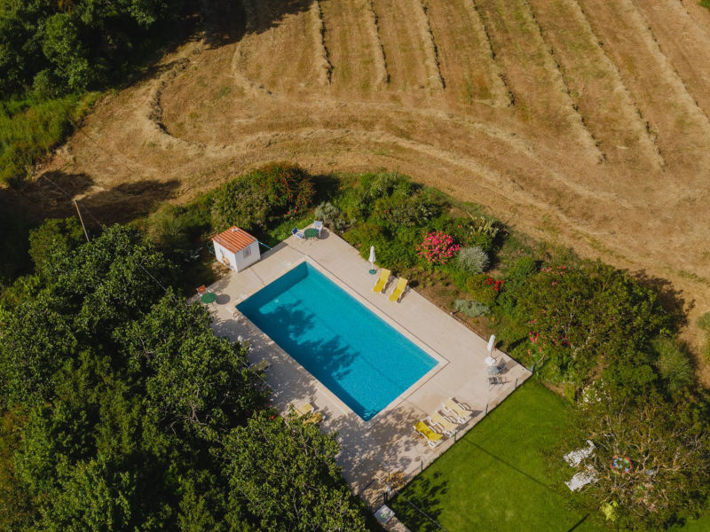 BirdViewPool